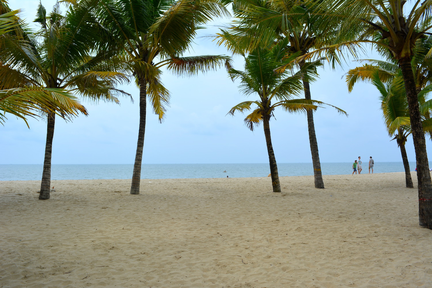 Beach with coconut palm trees with a few people, the sea, and the sky visible behind the trees