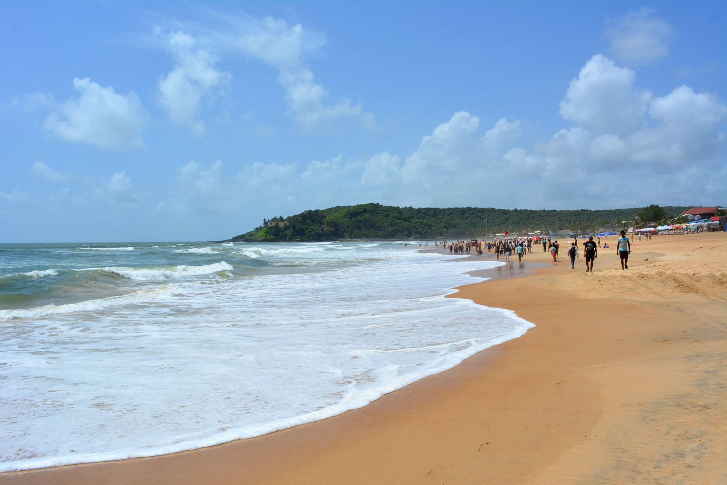 A sea beach with many visitors and a hill covered with trees behind