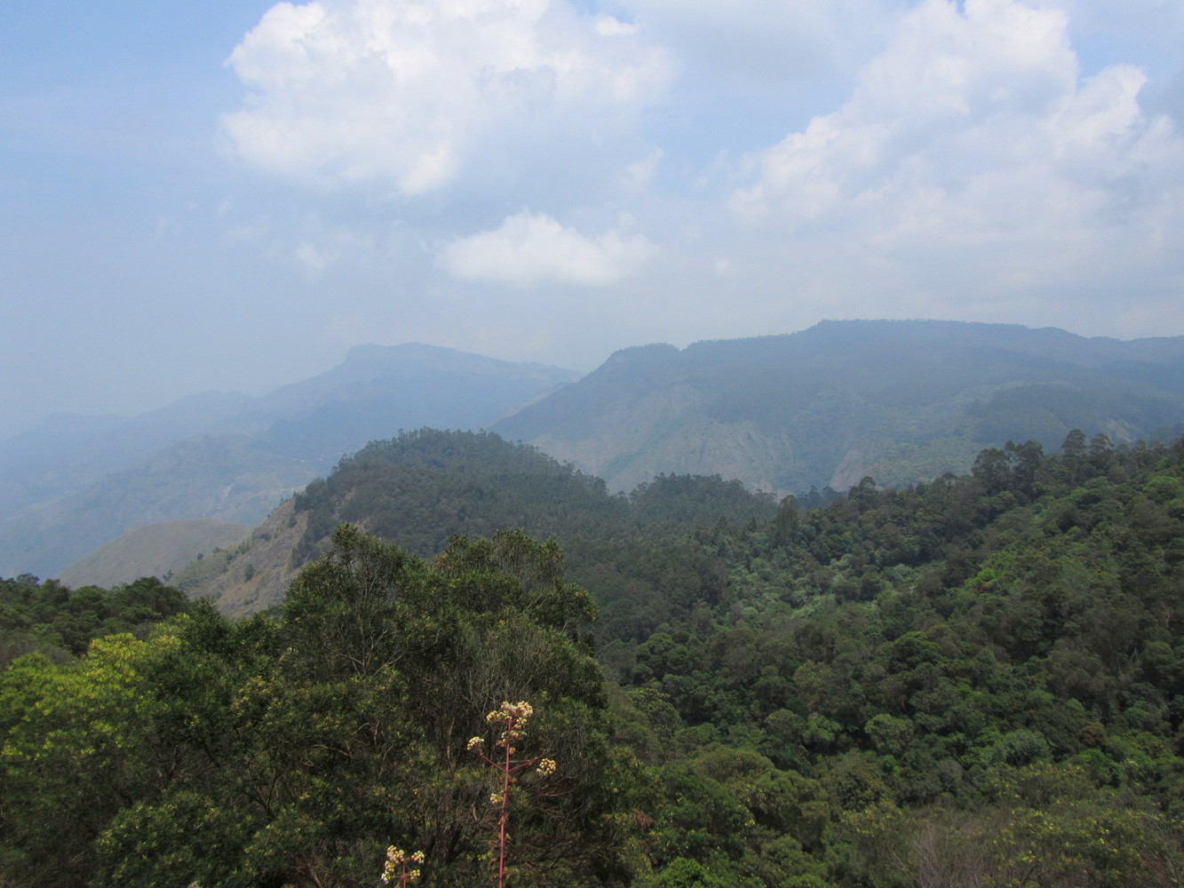 Many green tree-covered hills