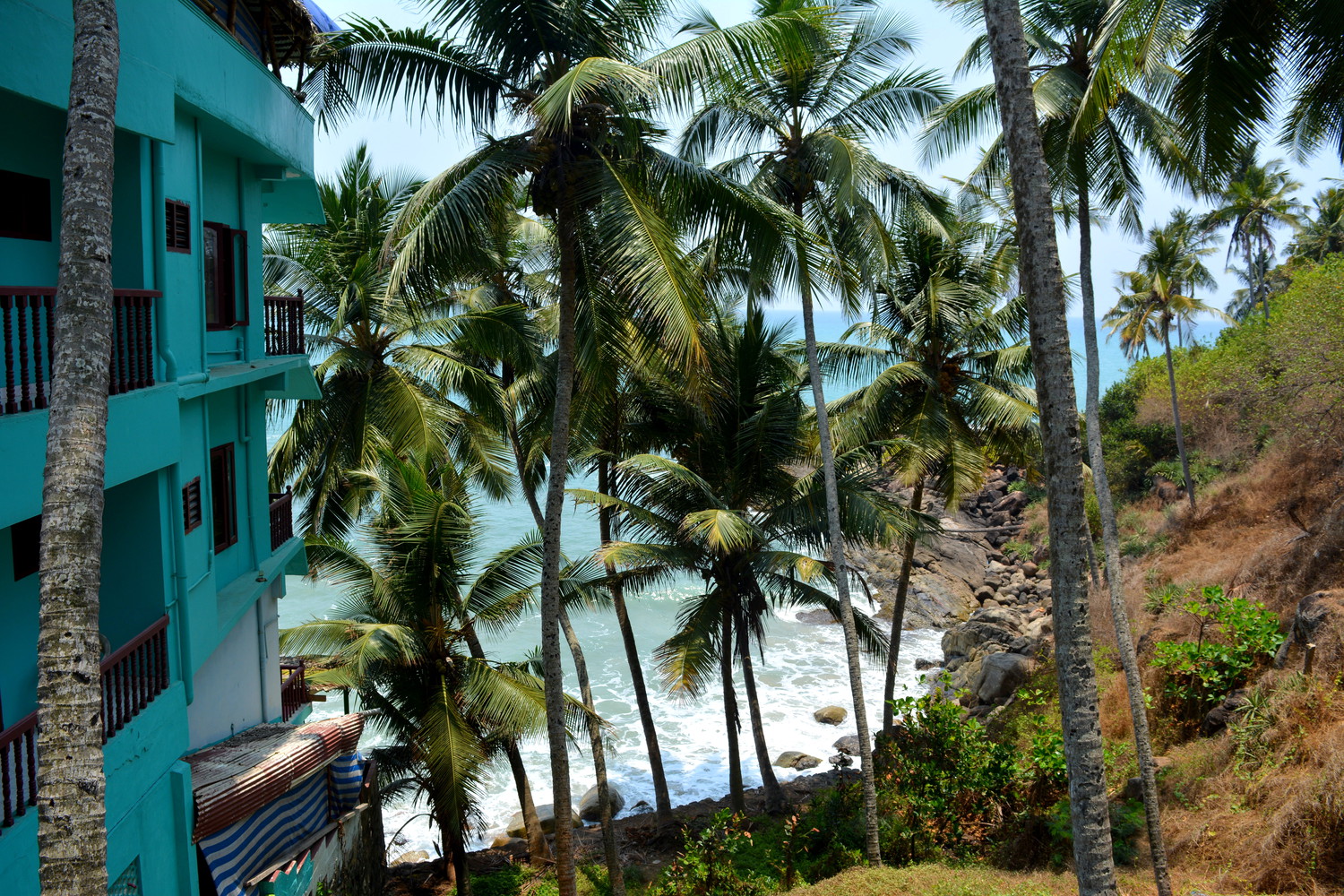 View of the sea from a cliff with coconut palm trees and a house on it
