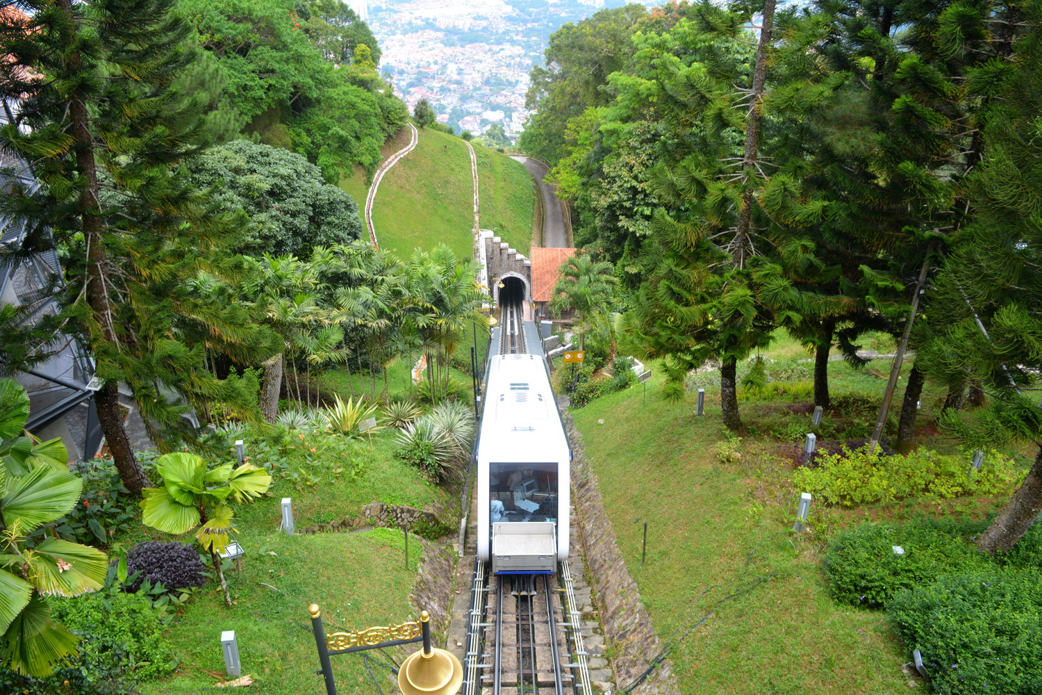 A funicular train that has appeared from a tunnel climbing up a green hill full of trees on both sides of the railway track
