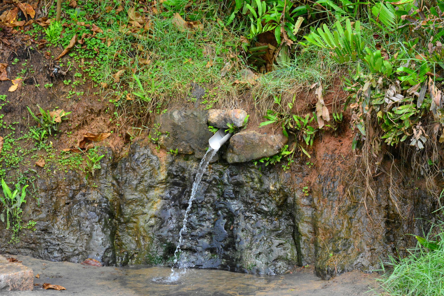 Natural spring water flowing out of a pipe drilled into the rocks at the foot of a cliff